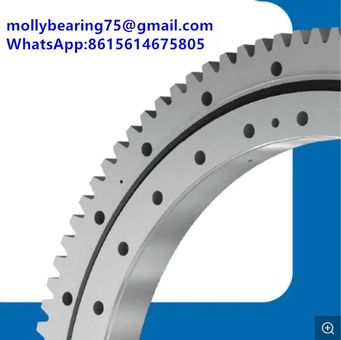 RKS.121390101002 Bearing Mexico Brazil Agency